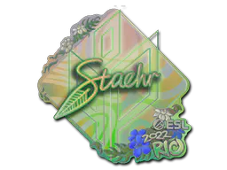 Sticker Staehr (Holo) | Rio 2022 - Preço e onde comprar no CS2