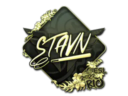 Sticker stavn (Gold) | Rio 2022 - Preço e onde comprar no CS2