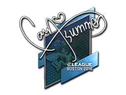 Sticker Summer | Boston 2018 - Preço e onde comprar no CS2