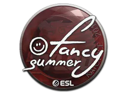 Sticker Summer | Katowice 2019 - Preço e onde comprar no CS2