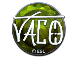 Sticker TACO (Foil) | Katowice 2019 - Preço e onde comprar no CS2
