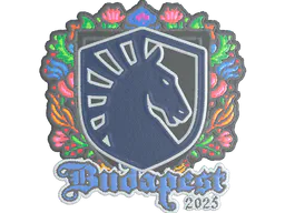 Sticker Team Liquid (Embroidered) | Budapest 2025 - Preço e onde comprar no CS2