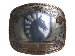 Sticker Team Liquid (Foil) | Austin 2025 - Preço e onde comprar no CS2
