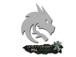 Sticker Team Spirit | Antwerp 2022 - Preço e onde comprar no CS2