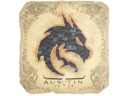 Sticker Team Spirit | Austin 2025 - Preço e onde comprar no CS2