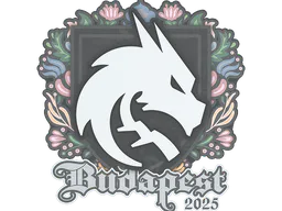 Sticker Team Spirit | Budapest 2025 - Preço e onde comprar no CS2