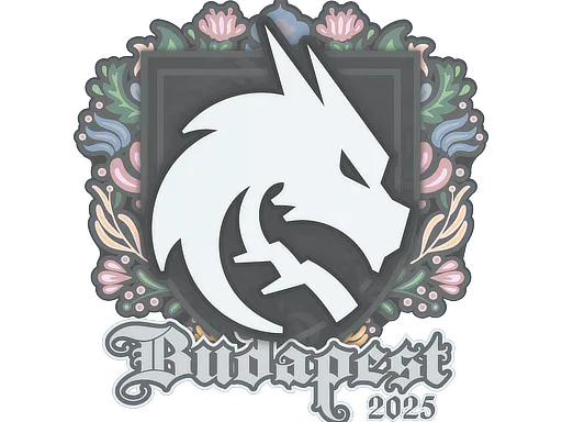 Sticker Team Spirit | Budapest 2025 - Preço e onde comprar no CS2