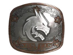 Sticker Team Spirit (Foil) | Austin 2025 - Preço e onde comprar no CS2