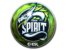 Sticker Team Spirit (Foil) | Katowice 2019 - Preço e onde comprar no CS2