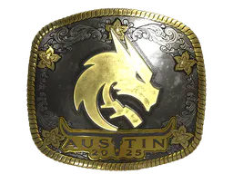 Sticker Team Spirit (Gold) | Austin 2025 - Preço e onde comprar no CS2