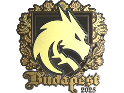 Sticker Team Spirit (Gold) | Budapest 2025 - Preço e onde comprar no CS2