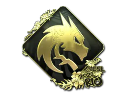Sticker Team Spirit (Gold) | Rio 2022 - Preço e onde comprar no CS2