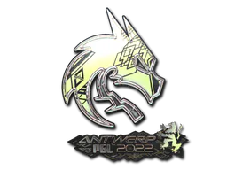 Sticker Team Spirit (Holo) | Antwerp 2022 - Preço e onde comprar no CS2