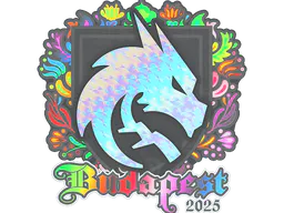 Sticker Team Spirit (Holo) | Budapest 2025 - Preço e onde comprar no CS2