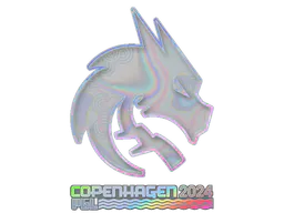 Sticker Team Spirit (Holo) | Copenhagen 2024 - Preço e onde comprar no CS2