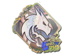 Sticker Team Spirit (Holo) | Rio 2022 - Preço e onde comprar no CS2