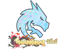 Sticker Team Spirit (Holo) | Shanghai 2024 - Preço e onde comprar no CS2