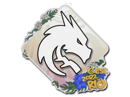 Sticker Team Spirit | Rio 2022 - Preço e onde comprar no CS2