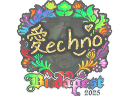 Sticker Techno4K (Holo) | Budapest 2025 - Preço e onde comprar no CS2