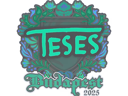 Sticker TeSeS | Budapest 2025 - Preço e onde comprar no CS2