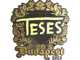Sticker TeSeS (Gold) | Budapest 2025 - Preço e onde comprar no CS2