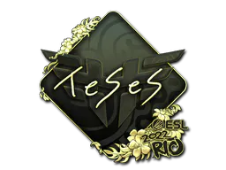 Sticker TeSeS (Gold) | Rio 2022 - Preço e onde comprar no CS2