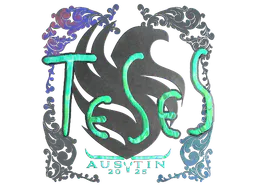Sticker TeSeS (Holo) | Austin 2025 - Preço e onde comprar no CS2