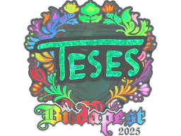 Sticker TeSeS (Holo) | Budapest 2025 - Preço e onde comprar no CS2