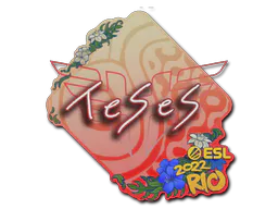 Sticker TeSeS | Rio 2022 - Preço e onde comprar no CS2