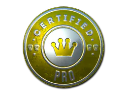 Sticker The Pro (Foil) - Preço e onde comprar no CS2