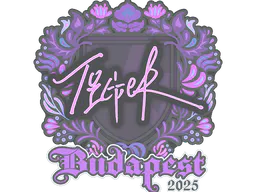 Sticker Tiger | Budapest 2025 - Preço e onde comprar no CS2