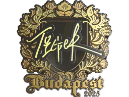 Sticker Tiger (Gold) | Budapest 2025 - Preço e onde comprar no CS2