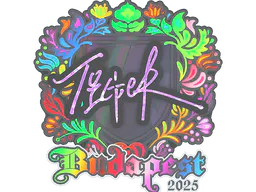 Sticker Tiger (Holo) | Budapest 2025 - Preço e onde comprar no CS2