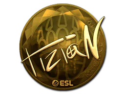 Sticker tiziaN (Gold) | Katowice 2019 - Preço e onde comprar no CS2