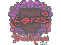 Sticker torzsi | Budapest 2025 - Preço e onde comprar no CS2