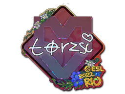 Sticker torzsi (Glitter) | Rio 2022 - Preço e onde comprar no CS2