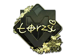 Sticker torzsi (Gold) | Rio 2022 - Preço e onde comprar no CS2