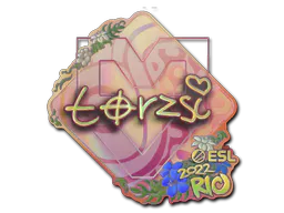 Sticker torzsi (Holo) | Rio 2022 - Preço e onde comprar no CS2