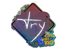 Sticker TRY (Glitter) | Rio 2022 - Preço e onde comprar no CS2