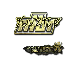 Sticker Tuurtle (Gold) | Antwerp 2022 - Preço e onde comprar no CS2