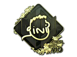 Sticker VINI (Gold) | Rio 2022 - Preço e onde comprar no CS2