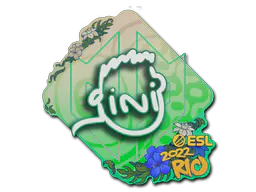 Sticker VINI | Rio 2022 - Preço e onde comprar no CS2