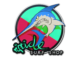 Sticker Watermelon Stabbyfish - Preço e onde comprar no CS2
