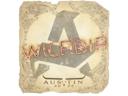 Sticker Wicadia | Austin 2025 - Preço e onde comprar no CS2