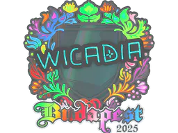 Sticker Wicadia (Holo) | Budapest 2025 - Preço e onde comprar no CS2