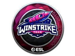 Sticker Winstrike Team (Foil) | Katowice 2019 - Preço e onde comprar no CS2