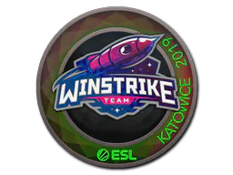 Sticker Winstrike Team (Holo) | Katowice 2019 - Preço e onde comprar no CS2