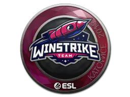 Sticker Winstrike Team | Katowice 2019 - Preço e onde comprar no CS2