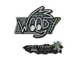 Sticker WOOD7 | Antwerp 2022 - Preço e onde comprar no CS2