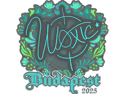 Sticker woxic | Budapest 2025 - Preço e onde comprar no CS2